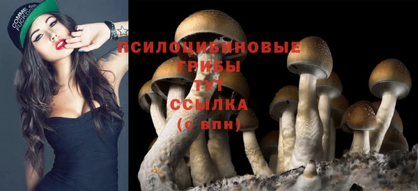 хмурый Баксан
