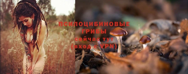 амф Балахна