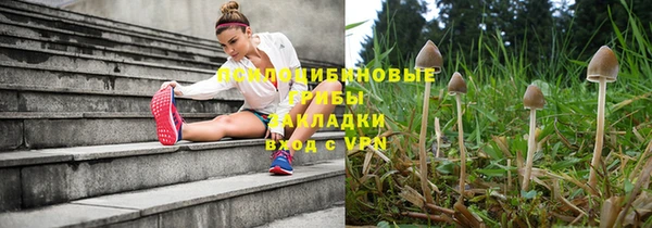 хмурый Баксан