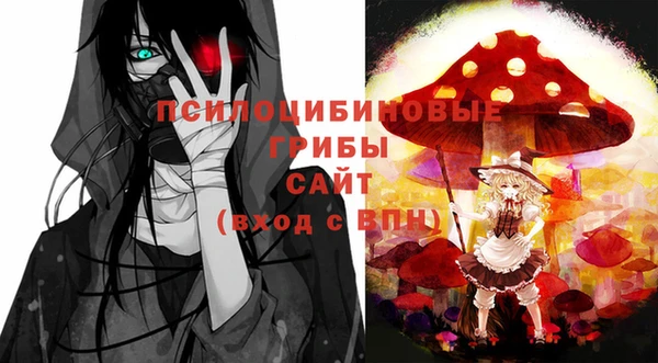 гашик Осташков