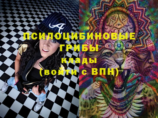 амф Балахна