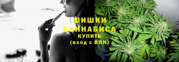 амф Балахна